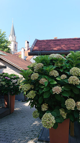 Bar Mitnica Kranj - Kranj