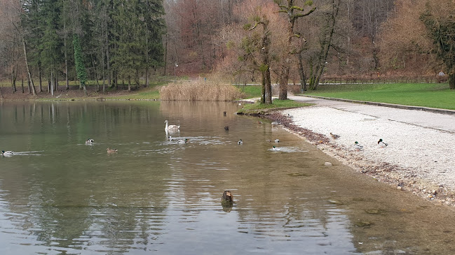 Olimpijski Regatni Center Bled - Gastronomija in gostinstvo