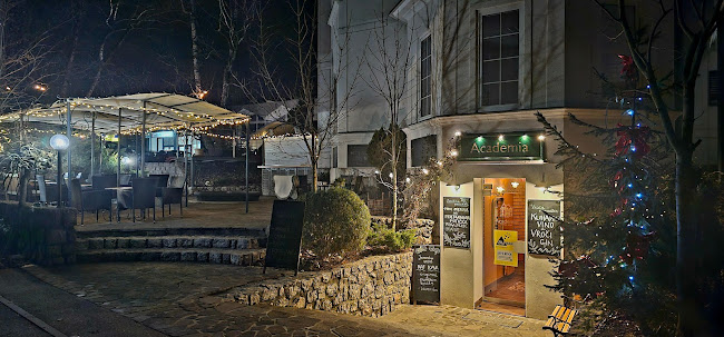 Comentarii opinii despre Akademija Pivnica