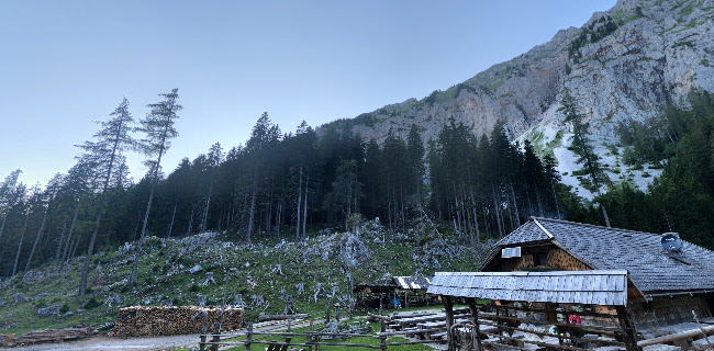 Jelendol 35, 4290 Tržič