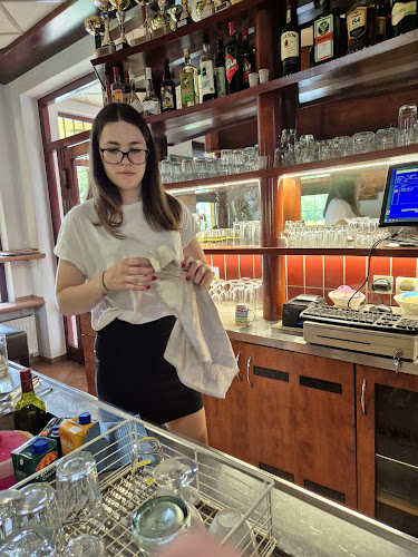 Bar Menišan Romana Fabijan s.p. - Dolenjske Toplice