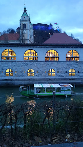 Adamič-Lundrovo nabrežje 27-3, 1000 Ljubljana