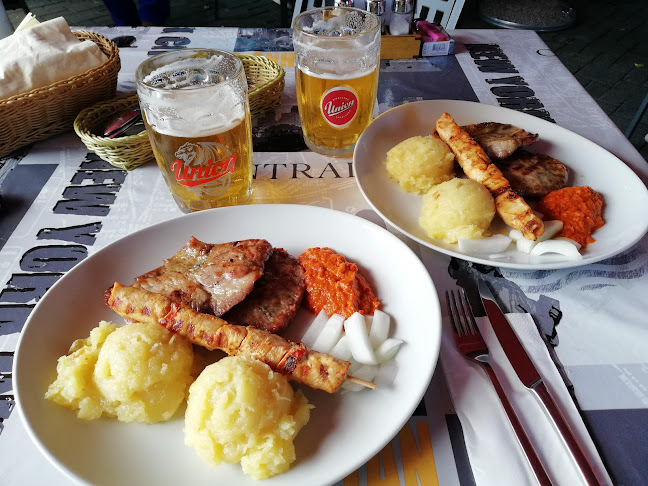 Bršljin 41, 8000 Novo mesto