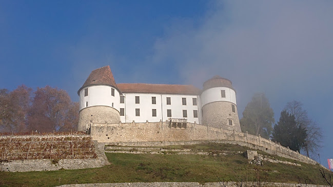 Kavarna špica, Matej Govekar s.p. - Gastronomija in gostinstvo