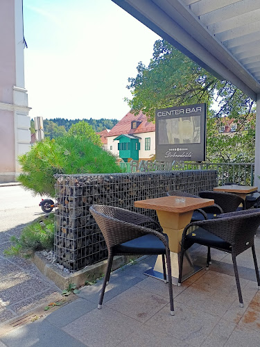 Center bar Mitja Šenica s.p. - Dolenjske Toplice