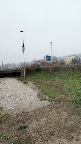 Bar Mandrač - Koper