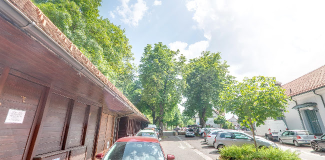 Opinii despre OKREPČEVALNICA ORIENT, SELITO d.o.o. în Kamnik - Gastronomija in gostinstvo