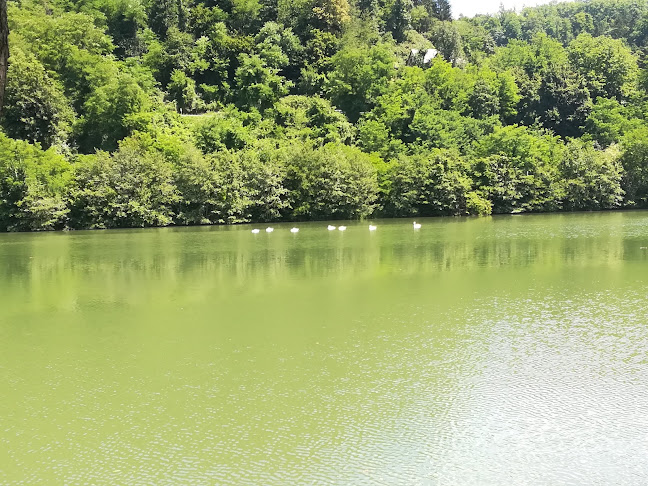 Pr' Veseljak - picerija in kavarna - Gastronomija in gostinstvo