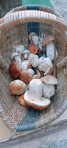 Dom Pristava - Gastronomija in gostinstvo