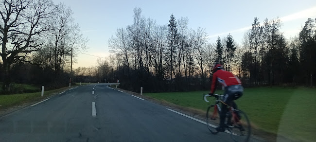 Dnevni bar RD MEDVODE, Marina Despotović s.p. - Gastronomija in gostinstvo