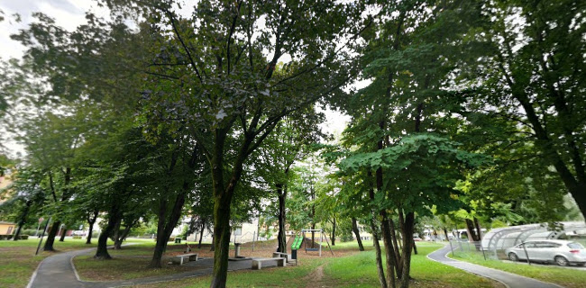 Fontana piva Zeleno zlato - Žalec