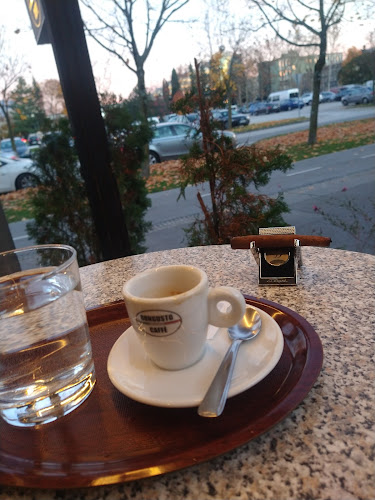 Comentarii opinii despre Kings