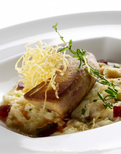 Maxim - Gastronomija in gostinstvo