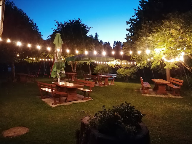 Comentarii opinii despre Gostilna in picerija Pr' Gantari