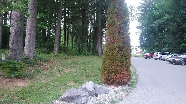 Gostilnica Falkenau - Kočevje