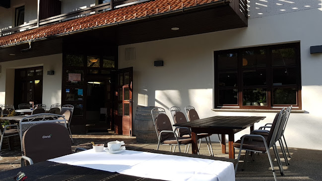 GOSTILNA RIBNIK Damjan Golob s.p. - Brestanica