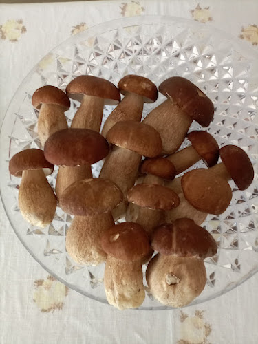 Opinii despre Restavracija Isabella Podgrad Slovenia ⭐⭐⭐⭐⭐ în Podgrad - Gastronomija in gostinstvo