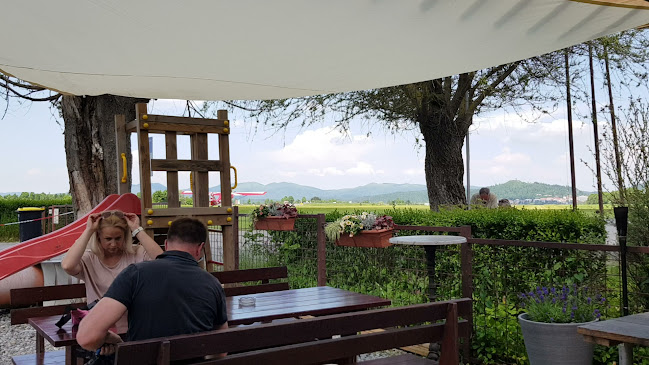 Comentarii opinii despre Aviopub