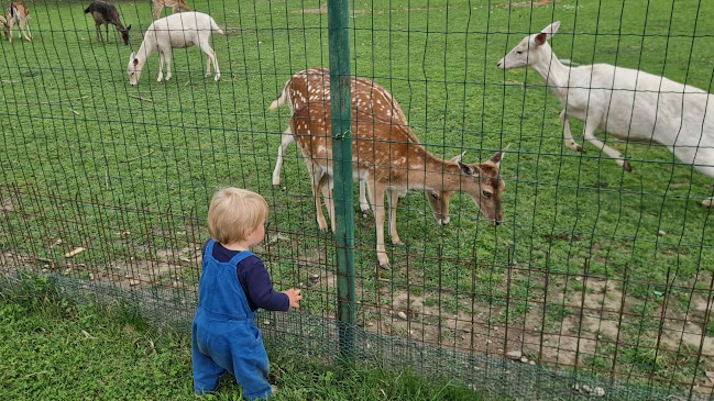Okrepčevalnica in pizzerija Malibu Kapca