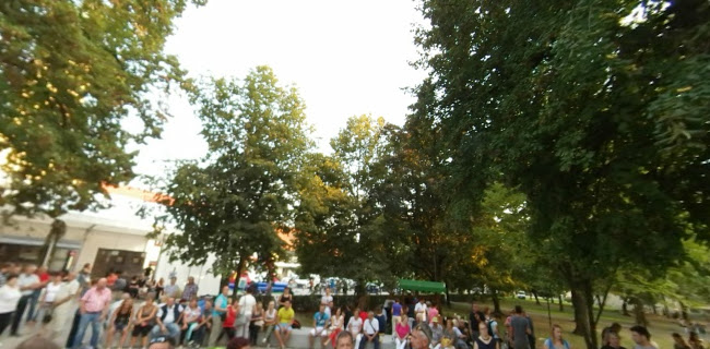 Fontana piva Žalec - Gastronomija in gostinstvo