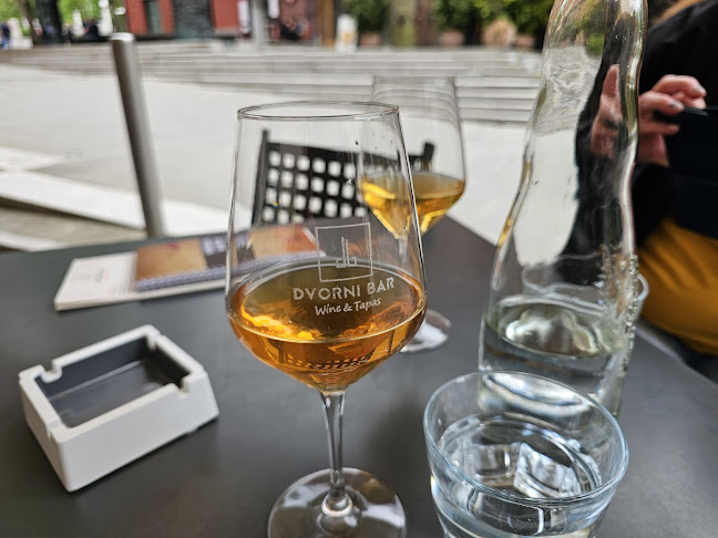 Dvorni Bar - Ljubljana