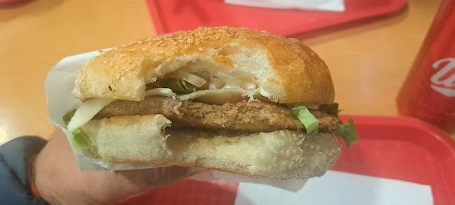 Grill & Kebap Paša Maribor - pri Tamu