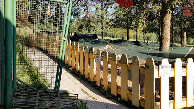 GOSTILNA LOVSKI DOM STOL - Gastronomija in gostinstvo