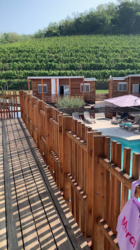 Opinii despre Saksida, wine & camping resort în Dornberk - Gastronomija in gostinstvo