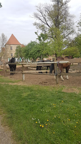 Kavarna DVOREC RAKIČAN - Murska Sobota