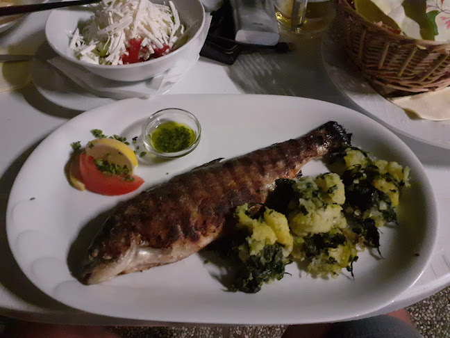 Comentarii opinii despre Gostilna pod Lipco Veselin Vujačić s.p.