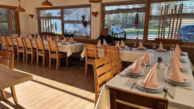 Gostilna Kolar, Dejan Kolar S.P.