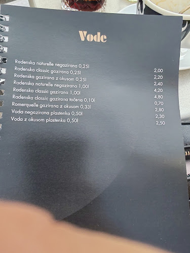 Trg celjskih knezov 9, 3000 Celje