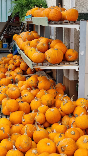 Kmetija Avšič, EKO zelenjava, sadje in sadike - Ljubljana