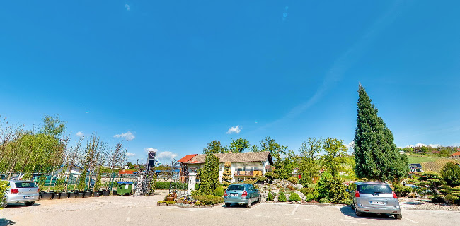 Opinii despre Tropic Cafe în Slovenske Konjice - Gastronomija in gostinstvo