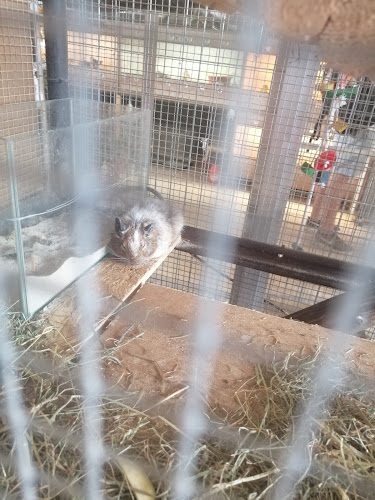 Comentarii opinii despre Kava bar Minutka - Bled