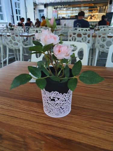 Sladoledni vrt Bambola - Ajdovščina