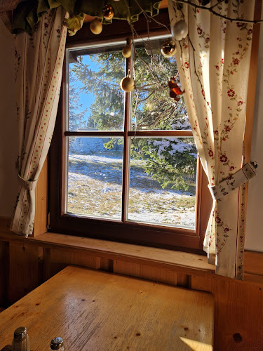 Pohorska picerija in pivnica Planja - Zreče