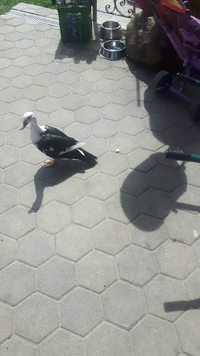 Izletniška kmetija Ančka