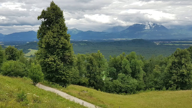 Cesta na Rožnik 18, 1000 Ljubljana