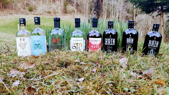 Comentarii opinii despre Spletna enoteka Mozirje SiSQSpirits