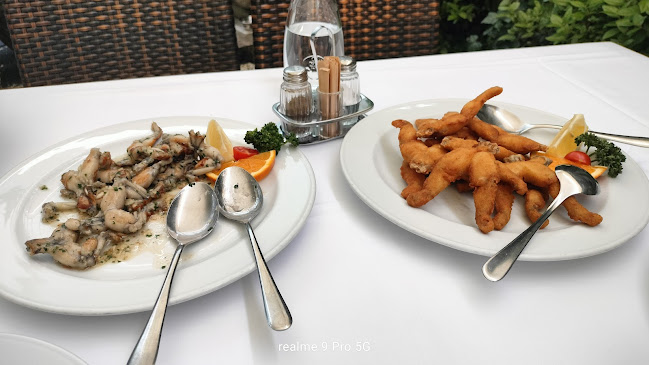 Comentarii opinii despre Pri Žabarju