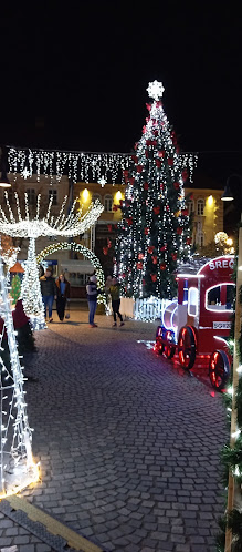 Mestna kavarna gostinstvo d.o.o. - Slovenj Gradec