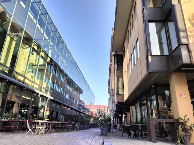 Papagayo Cocktail Bar & C H O C O