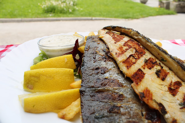 LESKOVAČKI ŽAR KORDUN - Kamnik