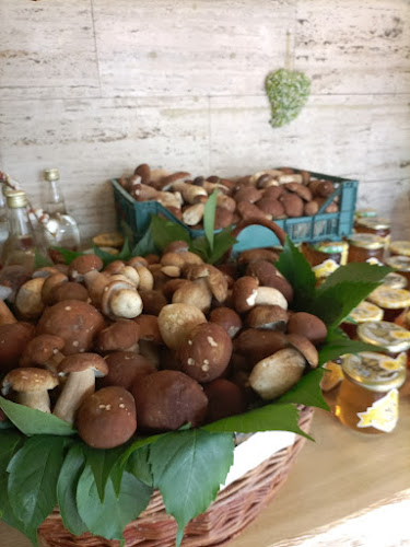 Comentarii opinii despre Restavracija Isabella Podgrad Slovenia ⭐⭐⭐⭐⭐