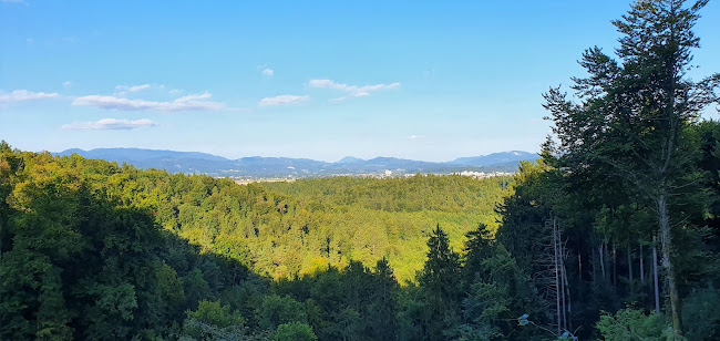 Opinii despre Gostilna Ručigaj în Mengeš - Gastronomija in gostinstvo