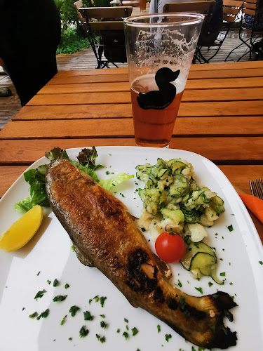 Comentarii opinii despre pr' Pepet