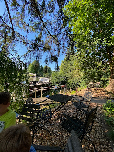 Comentarii opinii despre FN bar