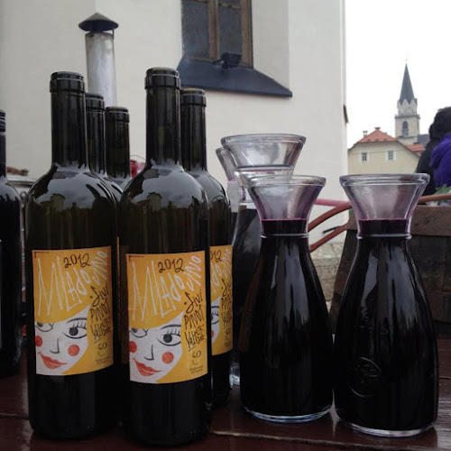 Cafe galerija Pungert - Gastronomija in gostinstvo