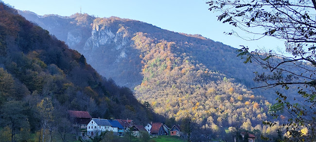 Madronič, gostinstvo in turizem, d.o.o.